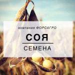 Соя