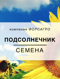 Подсолнечник