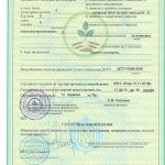 Сертифікат якості насіння подсолнуха