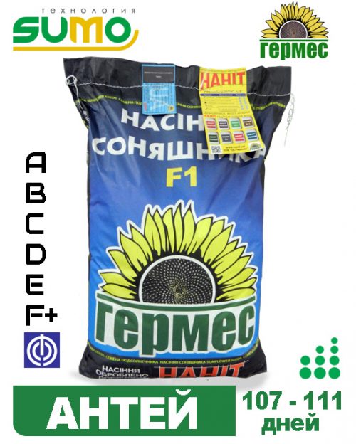 подсолнечник АНТЕЙ