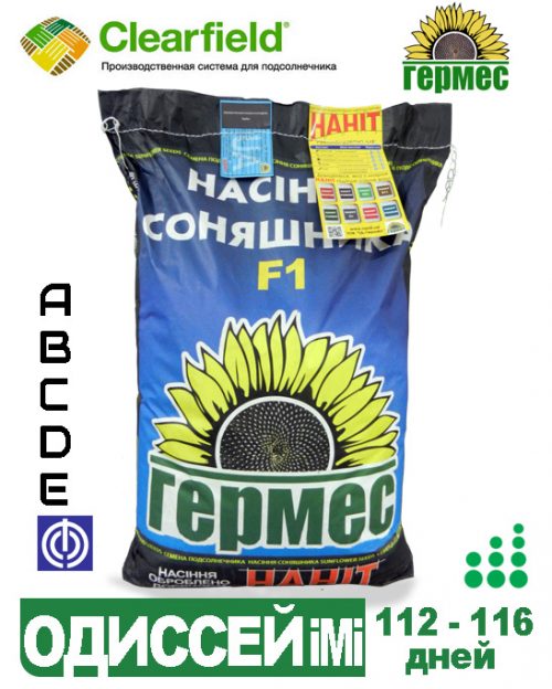 Семена подсолнечника ОДИССЕЙ ИМИ подсолнечник ОДИССЕЙ ИМИ