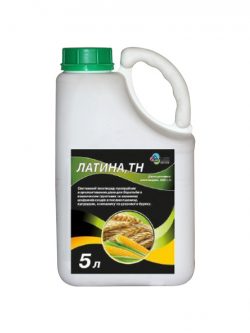 Протруйник Латіна