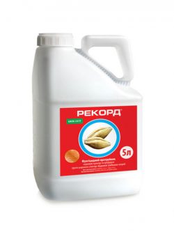 Протруйник Рекорд ТН