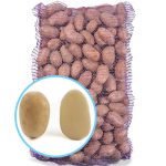 Насіннєва картопля САВАННА