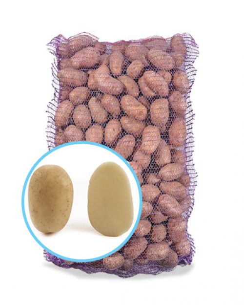 Насіннєва картопля САВАННА