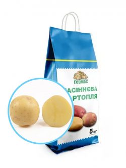 Насіннєва картопля Електра 5кг
