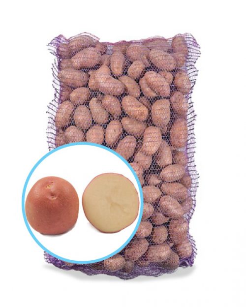 Насіннєва картопля ІНФІНІТІ