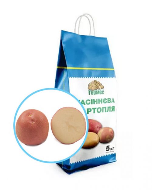 Насіннєва картопля ІНФІНІТІ