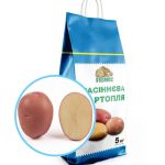 Насіннєва картопля КРІСТІНА 5кг