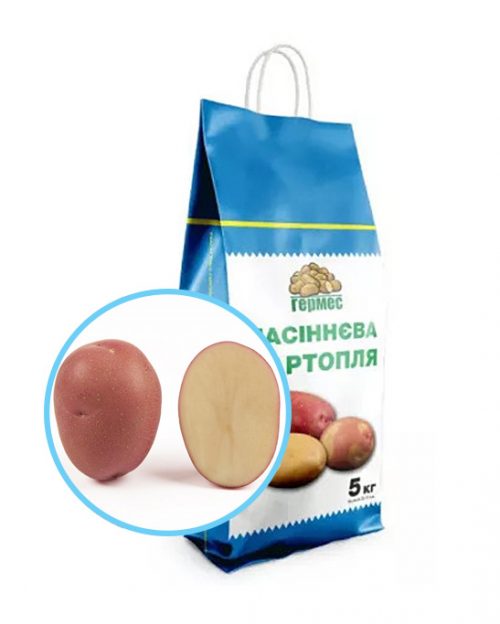 Семенной картофель КРИСТИНА 5кг Насіннєва картопля КРІСТІНА 5кг