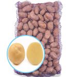 Насіннєва картопля ОРЛА