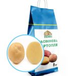 Насіннєва картопля ОРЛА