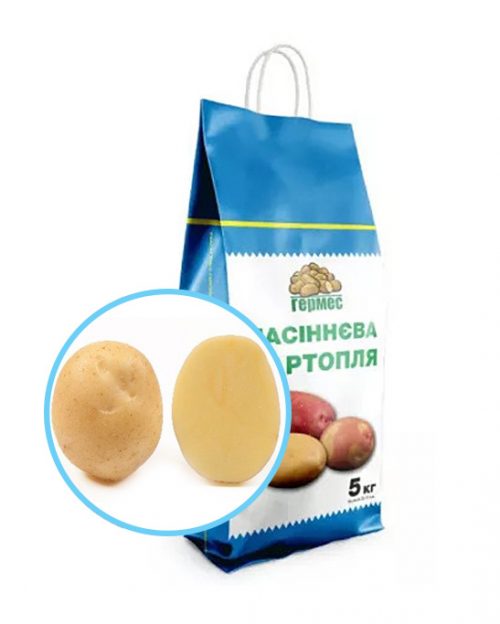 Насіннєва картопля ОРЛА
