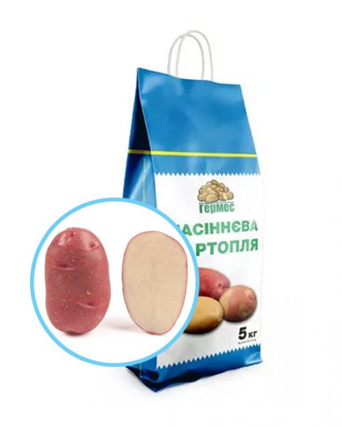 Семенной картофель ТОРНАДО 5кг Насіннєва картопля ТОРНАДО 5кг