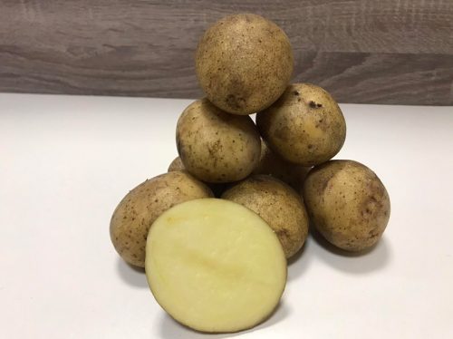 семенной картофель нектра