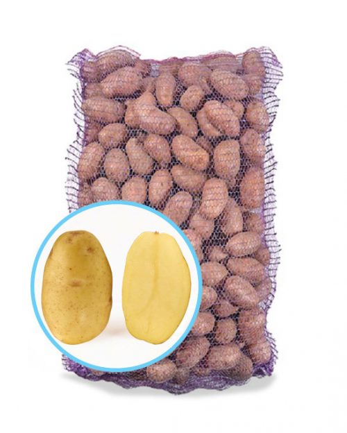 Насіннєву картопля Гранада