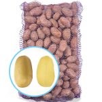 Насіннєва картопля Королева Анна