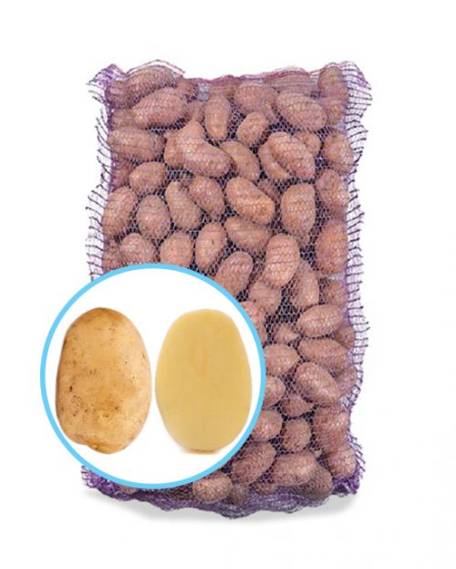 Семенной картофель Сенсация (Сенсейшен) Насіннєву картоплю Сенсація (Сенсейшен)