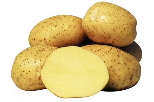 Семенной картофель Ривьера