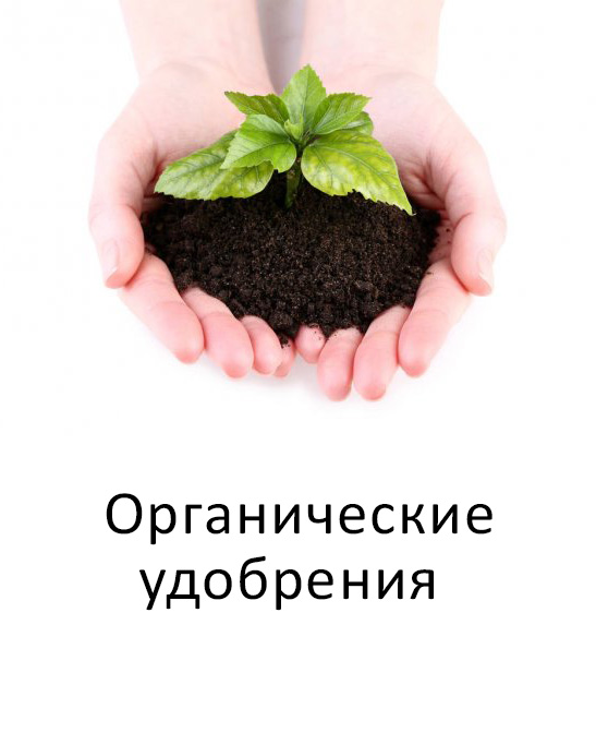 Органические удобрения - Компания ФОРСАГРО