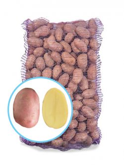 Семенной картофель Алуэт