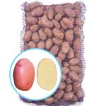 Семенной картофель Эволюшн