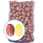 Семенной картофель Фламенко