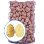 Семенной картофель Гала