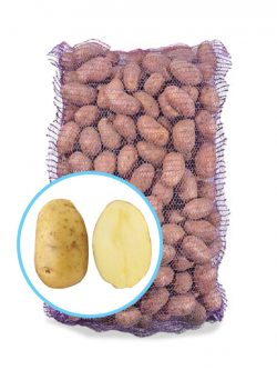 Семенной картофель Гала