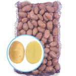 Семенной картофель Лаудин