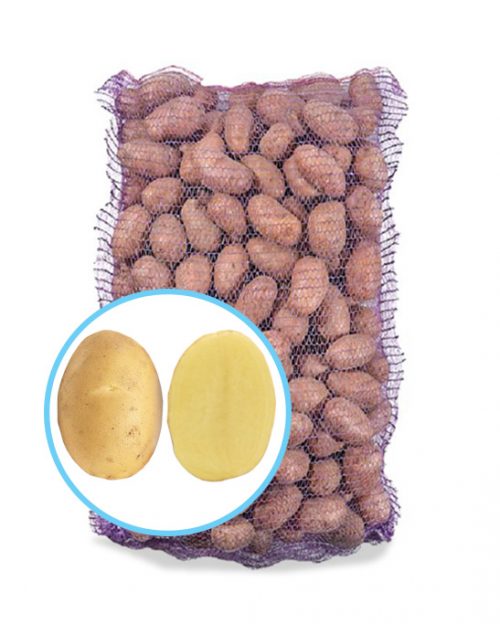 Семенной картофель Лаудин Семенной картофель Лаудин