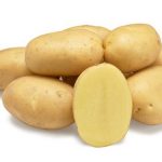Семенной картофель Лаудин