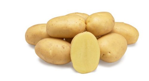 Семенной картофель Лаудин Семенной картофель Лаудин