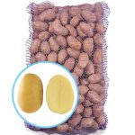 Семенной картофель Мадлен (Маделине)