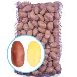 Насіннєва картопля Ред Скарлет