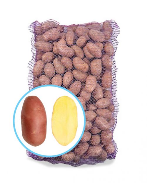 Насіннєва картопля Ред Скарлет