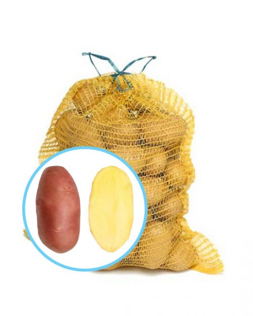 Семенной картофель Ред Скарлет