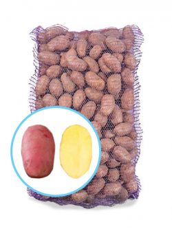 Семенной картофель Рудольф