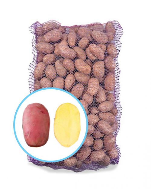 Семенной картофель Рудольф Семенной картофель Рудольф