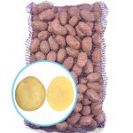 Насіннєва картопля Воларе