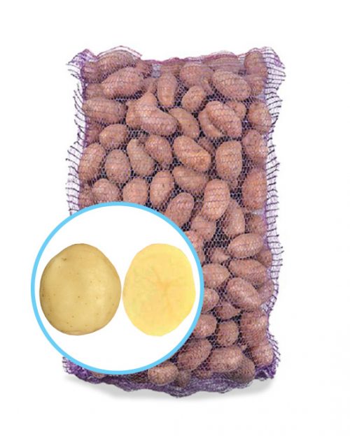 Семенной картофель Воларе Насіннєва картопля Воларе