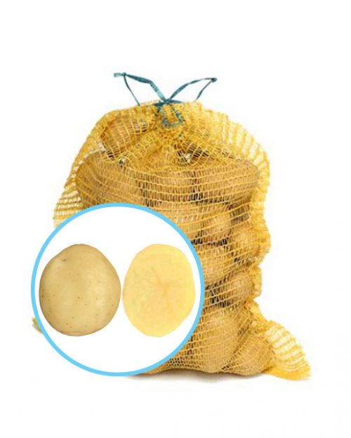 Семенной картофель Воларе