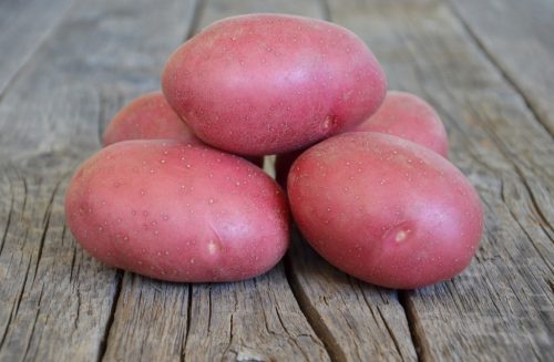 Labella-1024x670 Лабелла картофель