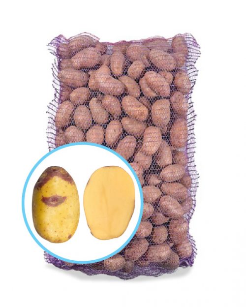 Семенной картофель Улыбка Blue Belle