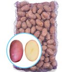 Семенной картофель Лабелла