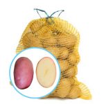 Семенной картофель Лабелла