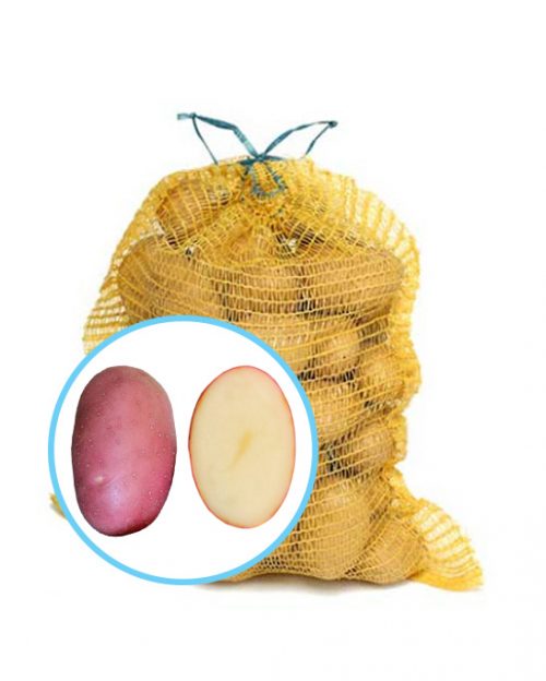 Семенной картофель Лабелла Семенной картофель Лабелла