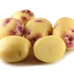 Семенной картофель Блю Белле