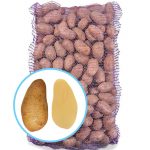 Семенной картофель Тирас