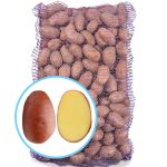 Семенной картофель Ред Леди